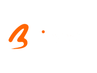 Bizycon private limited